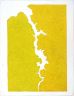 Aven jaune 