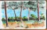 le boisde pins,a