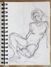 page de carnet