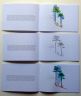 pages 6;7