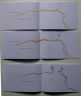 pages 17;17
